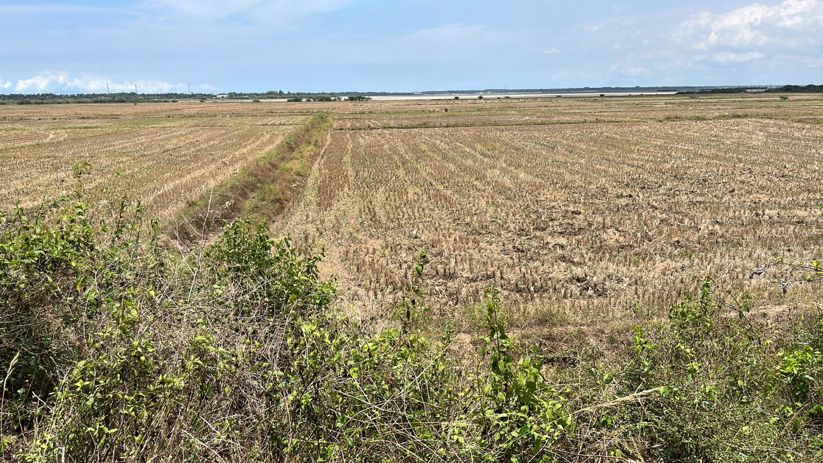 4.05 Acre Seekinakuppam Village (Paramankeni) — photo 2